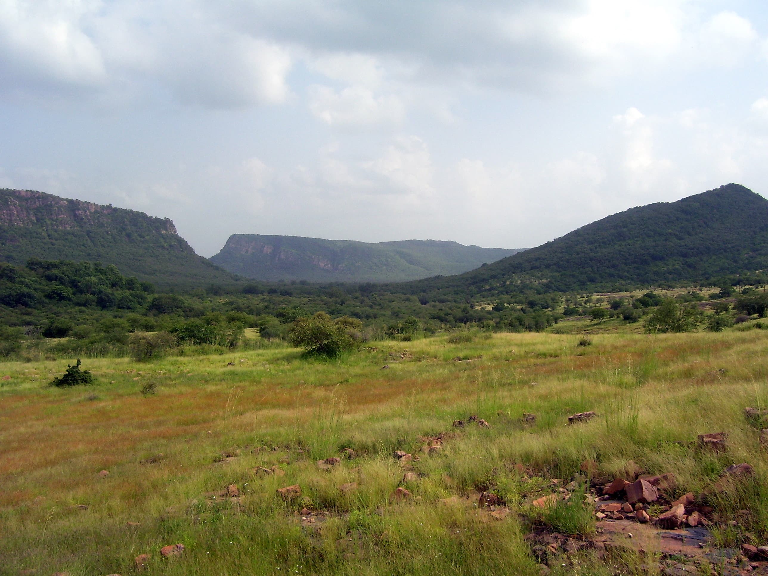 Ranthambore Royal Tiger Safari