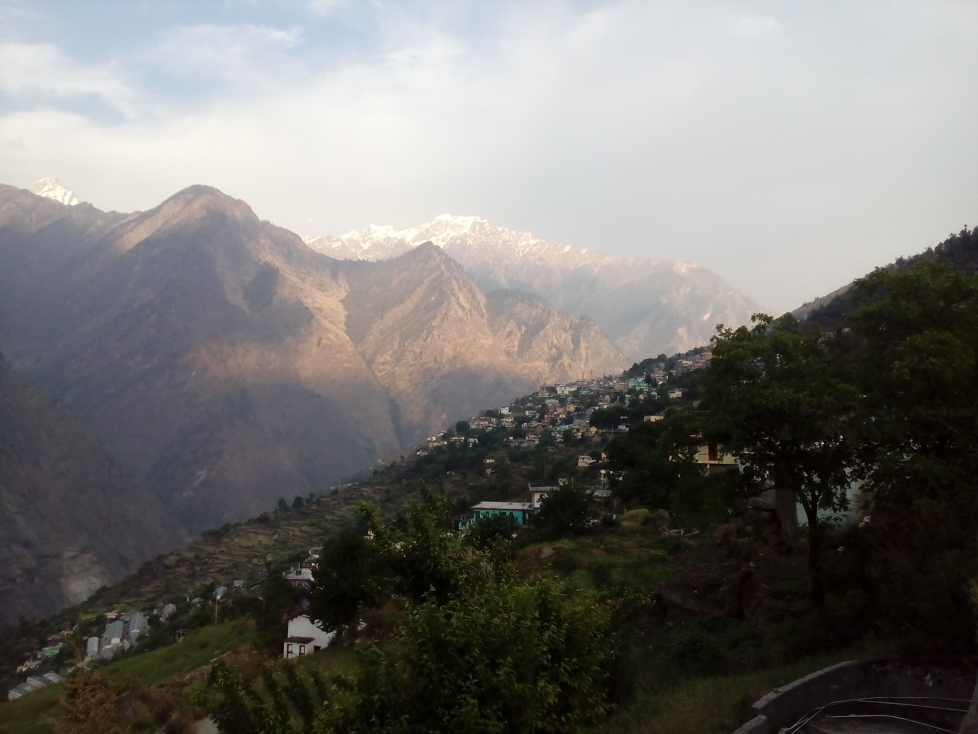 Auli Ski & Snowy Meadows
